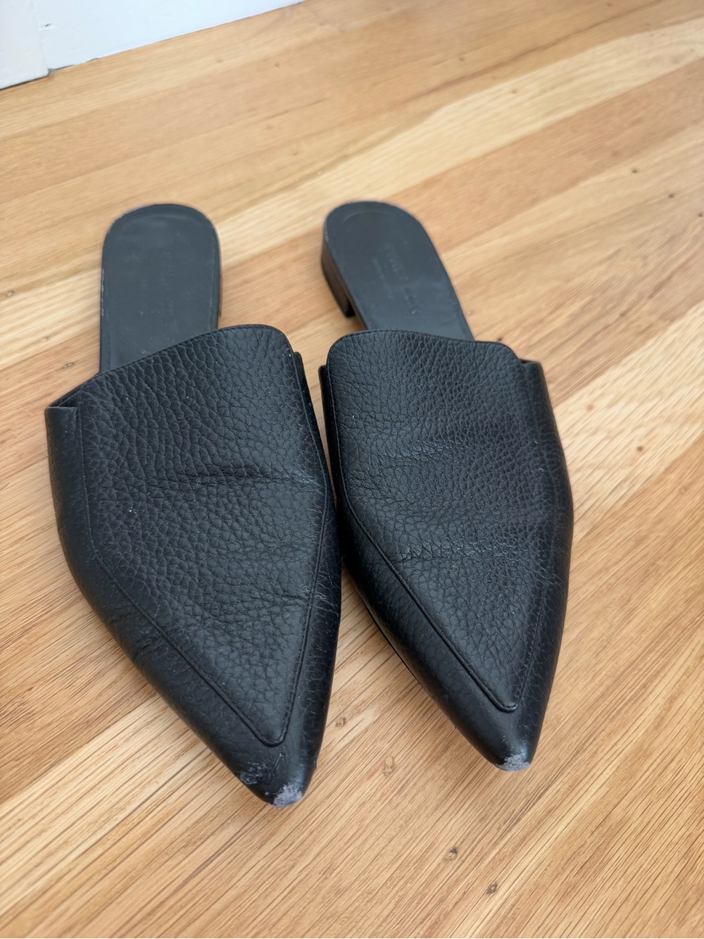 Everlane Black Pointed Leather Slide Mules
